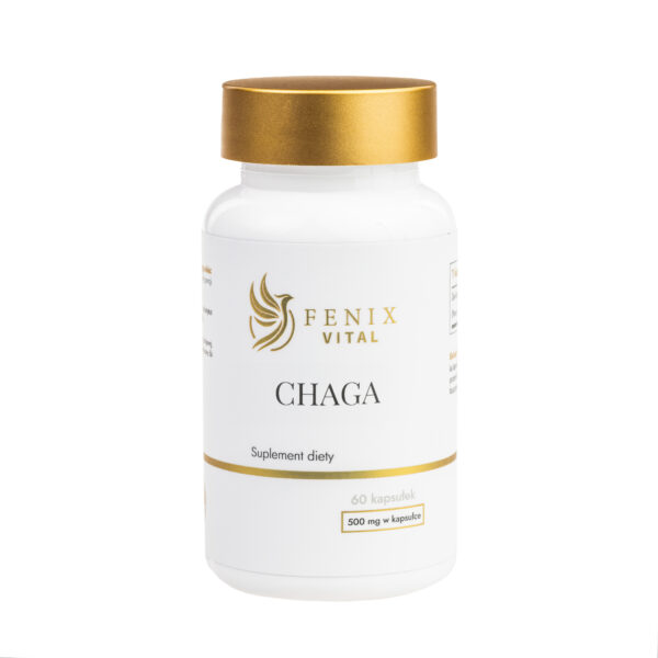 Chaga (500 mg), 60 kapsułek